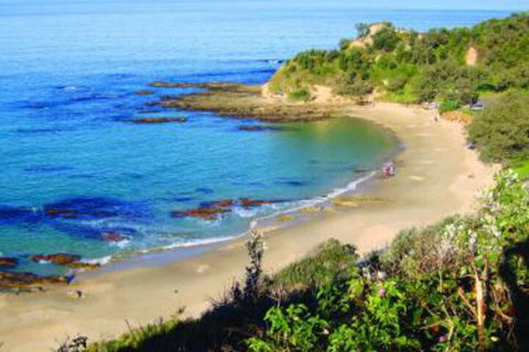 Pacific Studio Nambucca Heads - Accommodation Adelaide 5