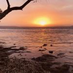 Paradise Beach Apartments - Accommodation Adelaide 0