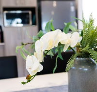 Wagga Apartments 5 - Accommodation Adelaide