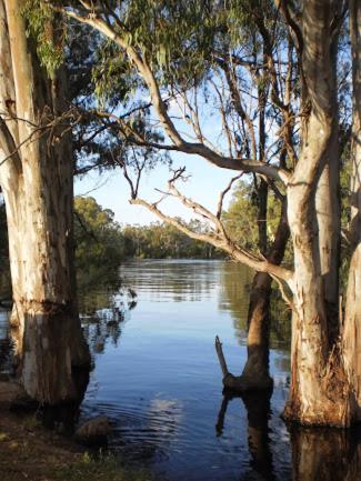Barham Riverland Motel - Accommodation Adelaide 1