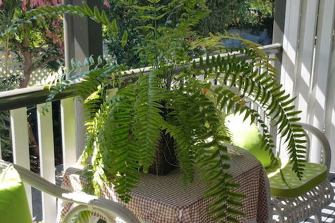 Elindale House Bed & Breakfast - Accommodation Adelaide 4