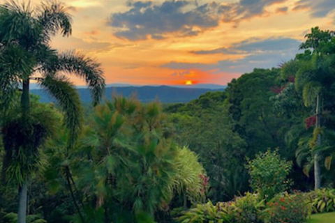 Daintree Manor Bed & Breakfast - Accommodation Adelaide 0