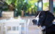 Bay Dream Believer 16 Verona Road Pet Friendly Boat Parking & WIFI - thumb 4