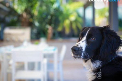 Bay Dream Believer 16 Verona Road Pet Friendly Boat Parking & WIFI - Accommodation Adelaide 4