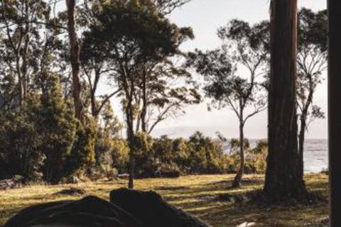 Seagrass On Sunset Bay - Accommodation Adelaide 2
