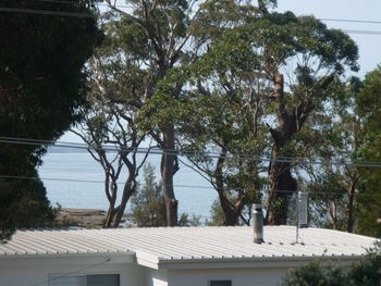 Bawley Break - Accommodation Adelaide 4