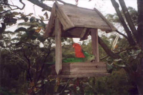 Arcadia Cottage - Accommodation Adelaide 2