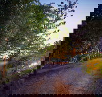 Dayboro Cottages  Llama Walks - Accommodation Adelaide