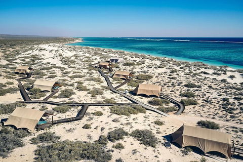Sal Salis - Accommodation Adelaide 1