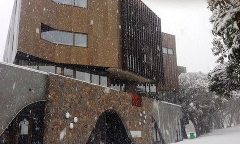 Buller Central - Accommodation Adelaide 2