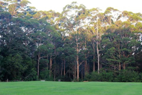 Tinglewood Cabins - Accommodation Adelaide 0