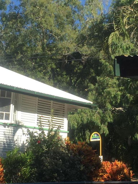 Daggoombah Holiday Home Magnetic Island - Accommodation Adelaide 6