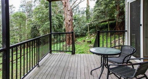 Clarelee Belgrave Accommodation - Accommodation Adelaide 7