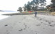 Bruny Island Beachside Accommodation - thumb 0