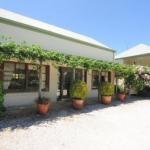 Daisy Cottage - Accommodation Adelaide 1