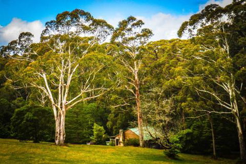 Ghost Hill Road Retreat - Accommodation Adelaide 6