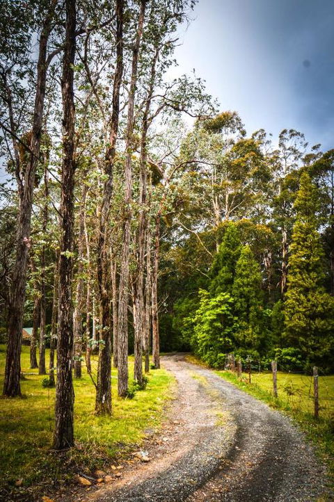 Ghost Hill Road Retreat - Accommodation Adelaide 2