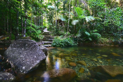 Daintree Cascades - Accommodation Adelaide 2