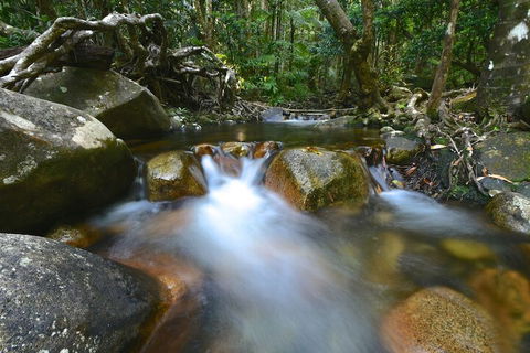 Daintree Cascades - Accommodation Adelaide 1