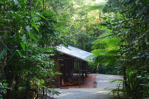 Daintree Cascades - Accommodation Adelaide 3