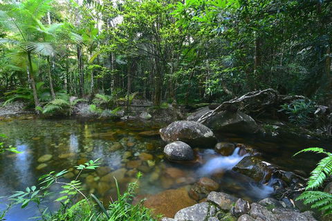 Daintree Cascades - Accommodation Adelaide 5