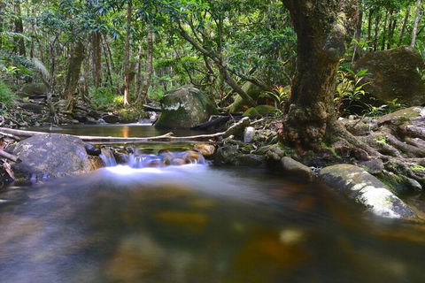 Daintree Cascades - Accommodation Adelaide 6