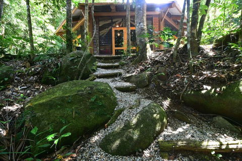 Daintree Cascades - Accommodation Adelaide 7