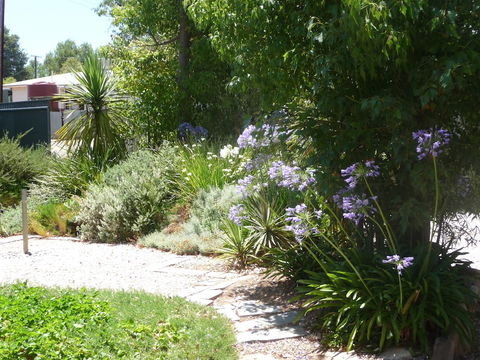 Country Bakehouse Accommodation - Accommodation Adelaide 1