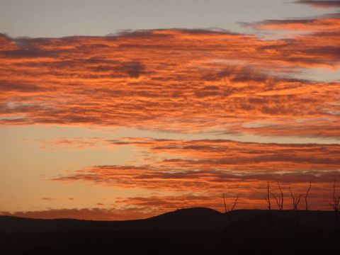 Country Bakehouse Accommodation - Accommodation Adelaide 0