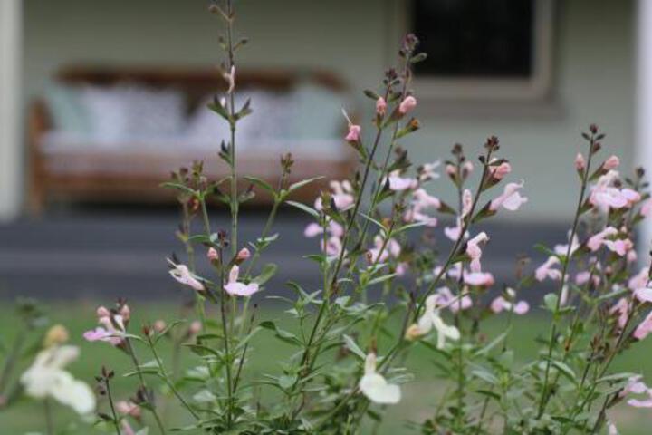 Bingleburra ACT Accommodation Adelaide