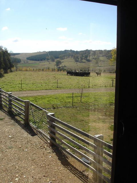 Black Sheep Inn - Accommodation Adelaide 3