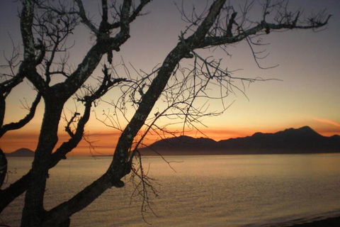Daintree Village Hideaway - Accommodation Adelaide 3