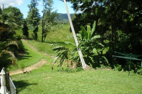 Daintree Village Hideaway - Accommodation Adelaide 5