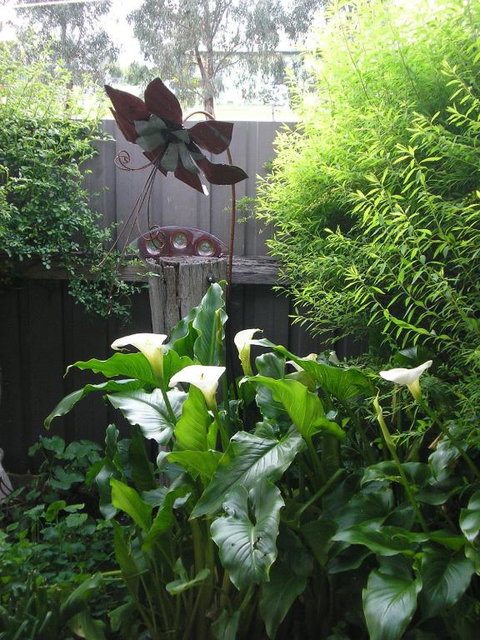 C & As Cottage - Accommodation Adelaide 2