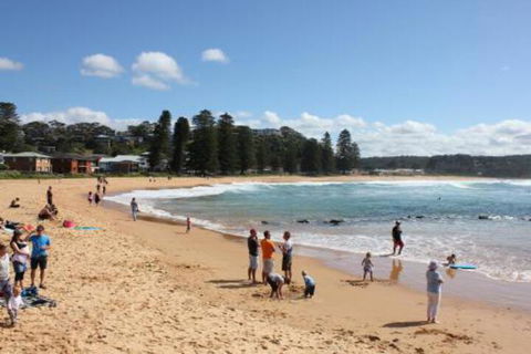 Avoca Beach Cape Cottage - Accommodation Adelaide 0