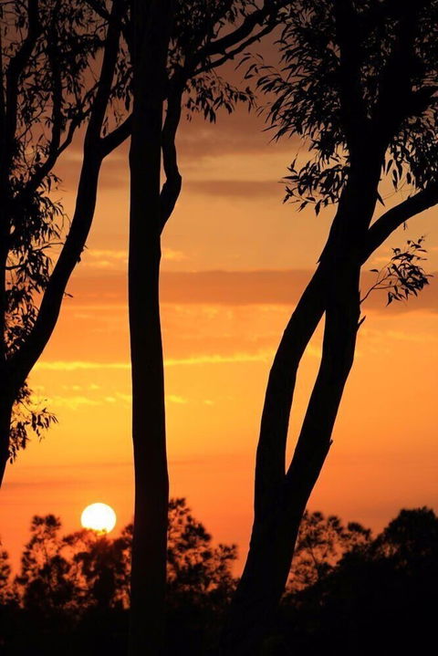 Bella Wind Bed & Breakfast - Accommodation Adelaide 3