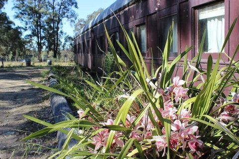Krinklewood Cottage & Train Carriages - Accommodation Adelaide 2