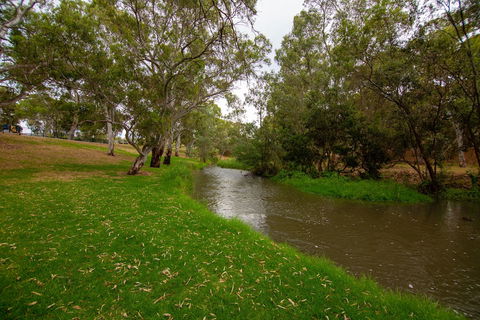 Windsor Gardens Caravan Park - Accommodation Adelaide 6