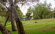 Windsor Gardens Caravan Park - thumb 0