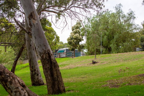Windsor Gardens Caravan Park - Accommodation Adelaide 0