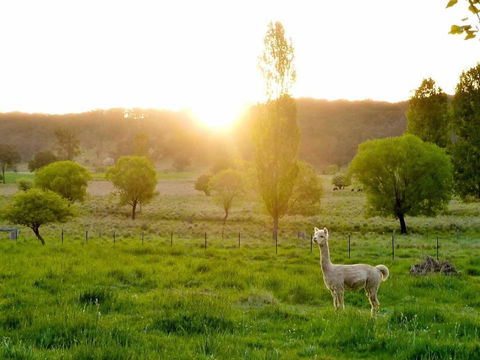 Glen Waverly Farmstay - Accommodation Adelaide 6