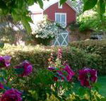 A Country Barn Retreat - Accommodation Adelaide