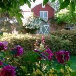 A Country Barn Retreat - Accommodation Adelaide 0