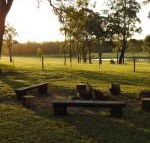 Wallaby Cottage cute Accom in bushland setting - Accommodation Adelaide