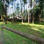 Fernglade On Menzies - Accommodation Adelaide 0