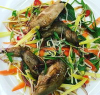 Tuileries Restaurant - Accommodation Adelaide