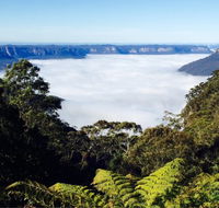 The Rooster - Accommodation Adelaide