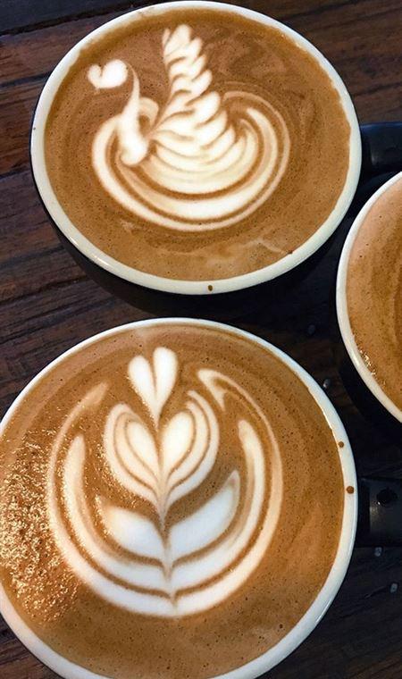 Cafe In Tokyo - Accommodation Adelaide 4