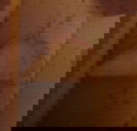 Domino's Pizza - Accommodation Adelaide