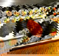 Freewave Sushi  Burgers - Accommodation Adelaide